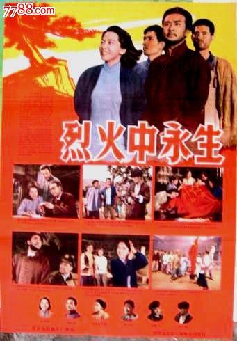 爱尔兰 假的多少钱